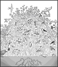 Load image into Gallery viewer, The Parable of the Mustard Seed Coloring Page
